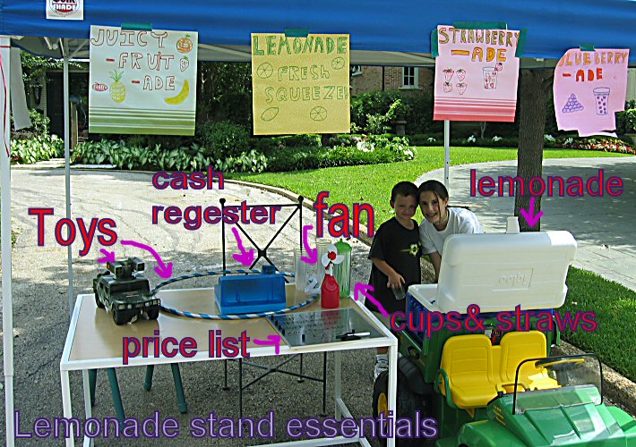 lemonade essentials